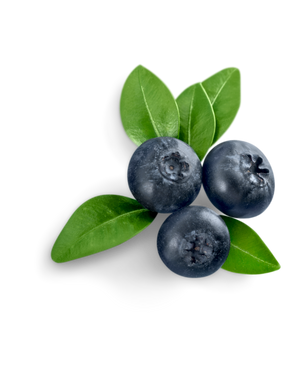 Blueberry