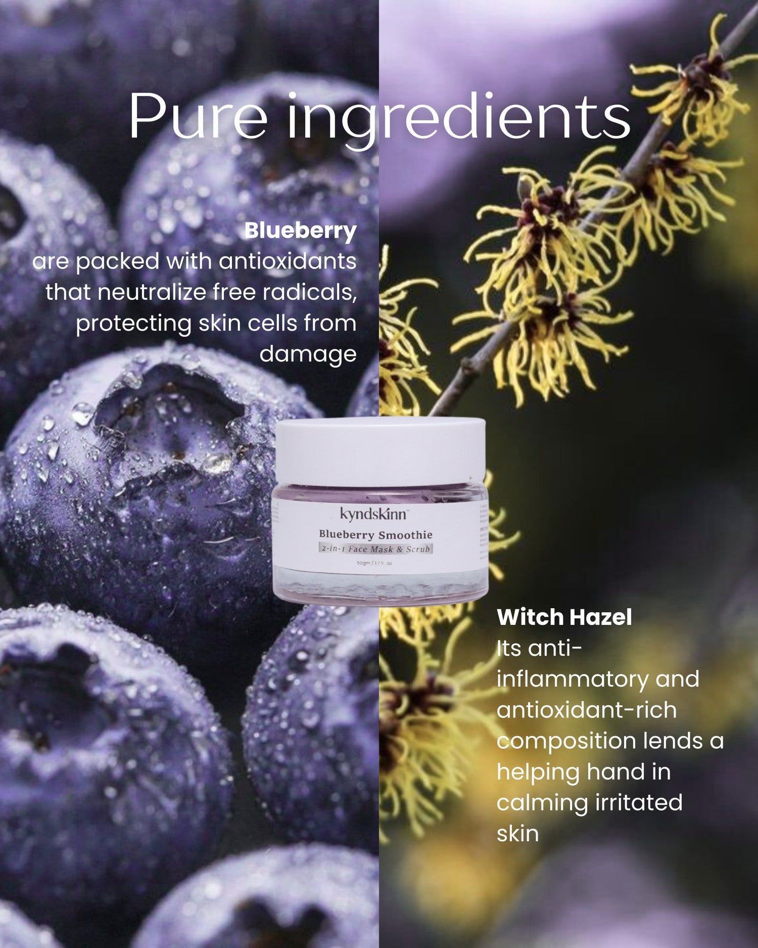 Blueberry Smoothie Ingredients - kyndskinn